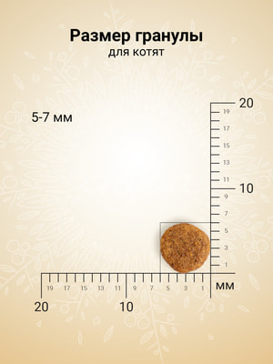   Craftia   CRAFTIA HARMONA       1,4  (,  5)