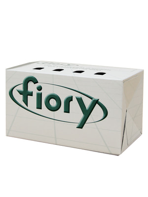  Fiory FIORY     (,  1)