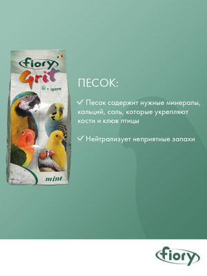 ,  Fiory FIORY    Grit Mint  1  (,  7)