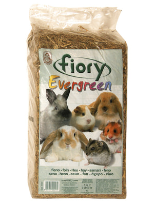   Fiory FIORY  Evergreen 1  (30 ) (,  6)