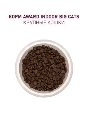   Award   AWARD Indoor Big cats                 1,5 (,  12)