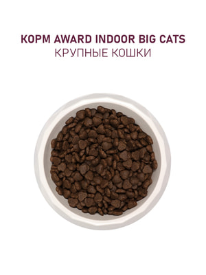   Award   AWARD Indoor Big cats                 10 (,  12)