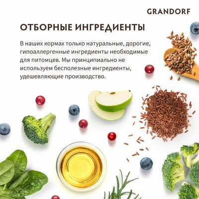    GRANDORF   / 8  (,  5)