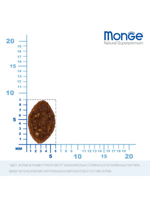   Monge   Monge Cat BWild LOW Hare   , ,    1,5  (,  3)