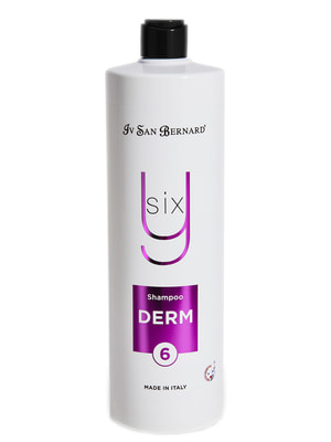      Iv San Bernard ISB Derm Y6       1 