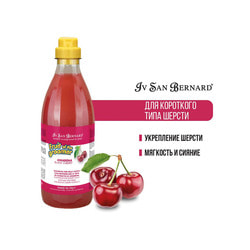      Iv San Bernard ISB Fruit of the Groomer Black Cherry        1 