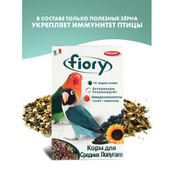   Fiory FIORY     Parrocchetti African 800 