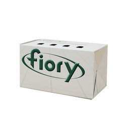  Fiory FIORY    